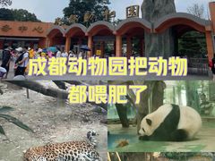 -成都动物园