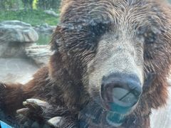 -北京野生动物园