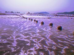 -渔寮风景区