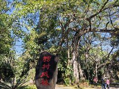 -瑞丽独树成林风景区