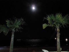 android_upload_pic-海天一色海景自助餐厅(西港花园店)