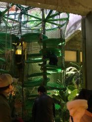 -恐龙探索乐园(磁器口店)