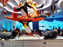 -帝企鹅自助餐厅•儿童岛•真企鹅(长隆企鹅酒店)