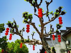 -溪口-滕头旅游景区