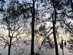 -缙云山景区