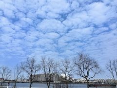-上海山野camping·户外天幕烧烤·团建拓展营地