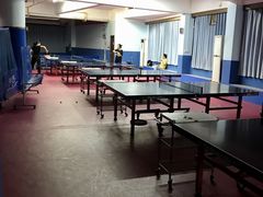 -大凤凰乒乓球馆