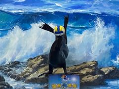 -左海海底世界