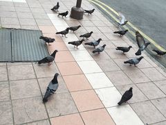-白沙浮娱乐广场