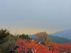 -香山公园