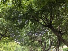 -西南政法大学(沙坪坝校区)