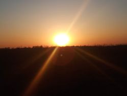 -摩睫+皮肤管理·科学美容中心