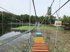 -微山湖红荷湿地景区