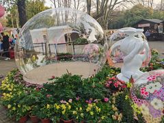 -上海共青森林公园