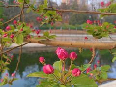 -元大都城垣遗址公园