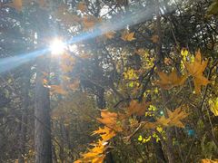 -阳台山自然风景区