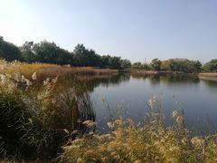 -永定河休闲森林公园