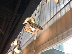 -西西弗书店&矢量咖啡(凯德晶萃广场店)