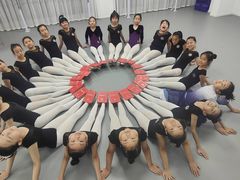 -西安小天鹅艺术团(金花路校区)