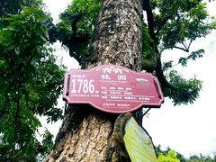 -张坝桂圆林公园