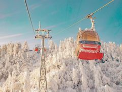 -瓦屋山景区
