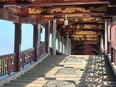 -长广溪湿地公园
