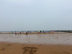 -日照海滨国家森林公园