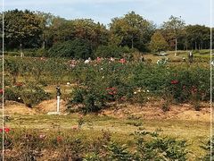 -宜兴龙背山森林公园