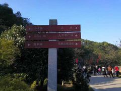 -广州市帽峰山景区