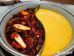 -青瓷火锅料理(西单大悦城店)