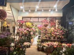 -溪岸路花鸟市场