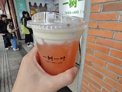福建茉莉野山楂-一树一叶·福建茶档(石鼓路店)