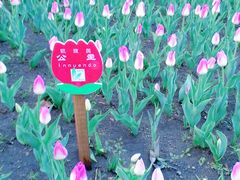 -长春公园(普阳街道)