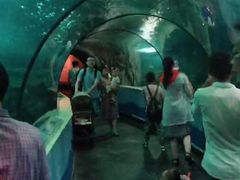 -苏州海洋馆