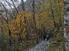 -叠溪松坪沟景区