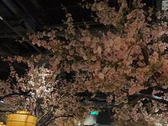 -绿茶餐厅(昌平悦荟店)