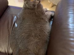 -得记得潮州海鲜砂锅粥(宝业路店)