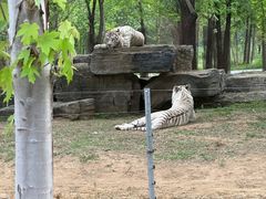 -秦皇岛野生动物园