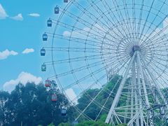 -温州乐园