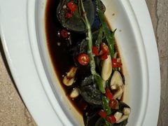 -佬肥猫(七宝宝龙店)