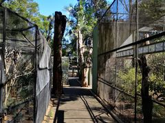 -费瑟代尔野生动物园