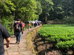 -武夷山风景名胜区-虎啸岩