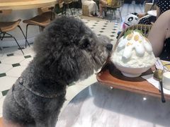 -丹礼糖甜品