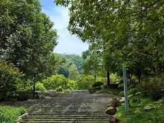 -火炉山森林公园