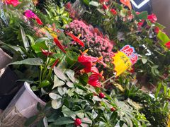 -大自然花鸟鱼虫市场