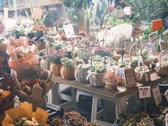 -循礼门鲜花花市(武汉循礼门店)