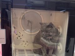 -FAELING PETS美天灵宠物(富力广场店)