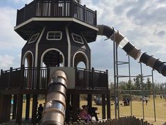 -上海长兴岛郊野公园