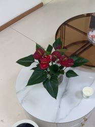 -薇兰专业脱毛连锁机构