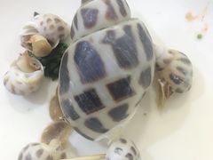 -海大大蒸汽海鲜餐厅·粤菜·特色小炒(欢乐颂店)